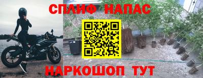молекула духа Заводоуковск